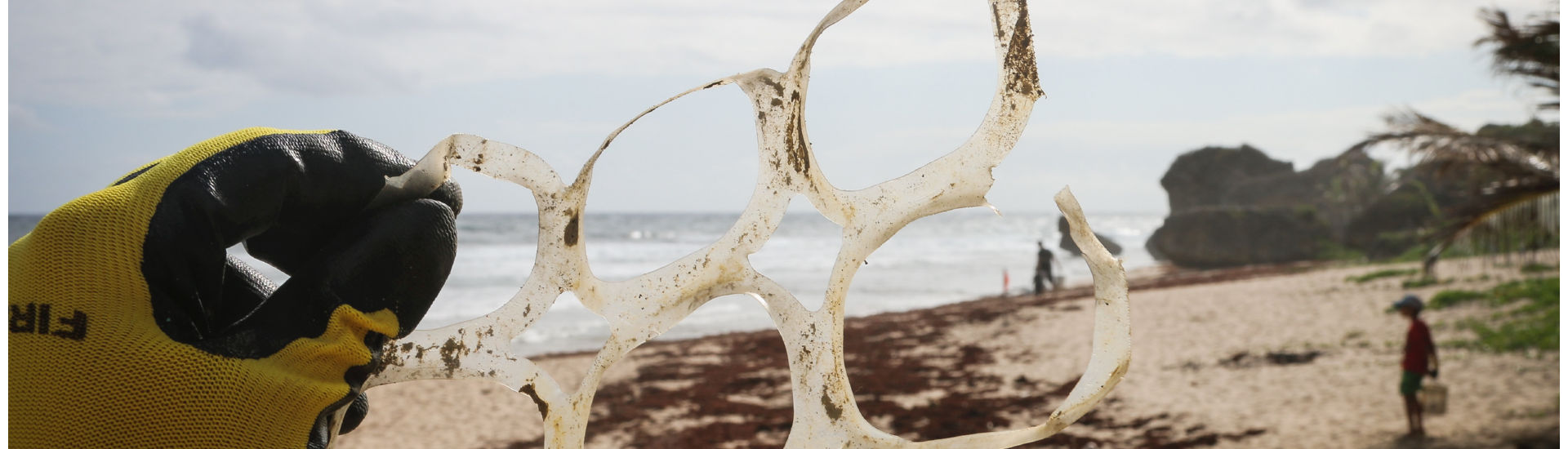 שוחים בפלסטיק: טבעות של מארזי פחיות בירה
