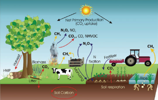 גזי חממה בחקלאות