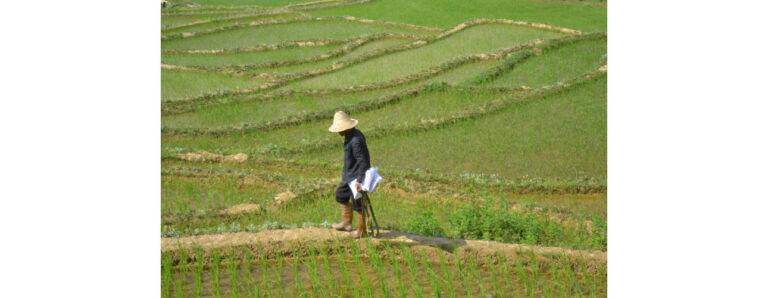 חקלאי סיני במחוז יונאן צילמה נטלי צ'רננקו