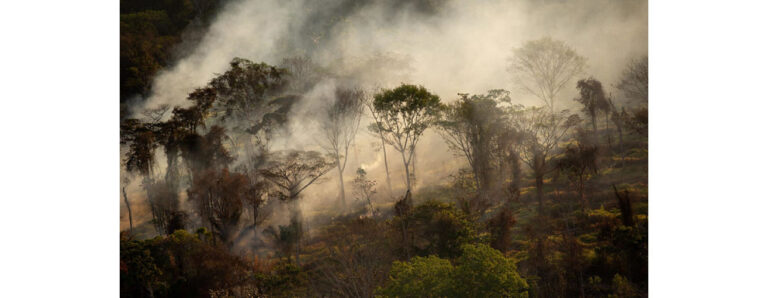 שריפות ועשן ביערות האמזונס. מקור: גרינפיס ישראל