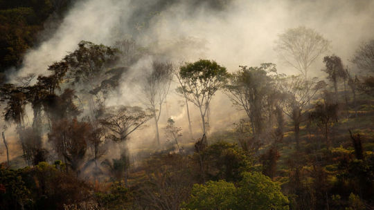 שריפות ועשן ביערות האמזונס. מקור: גרינפיס ישראל