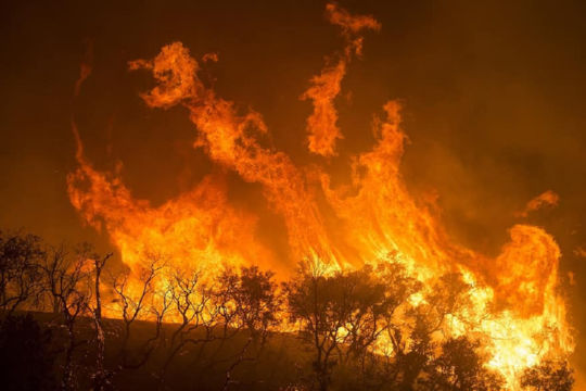 שריפה ביער לאומי לוס פדרס. להבות עוצמתיות.