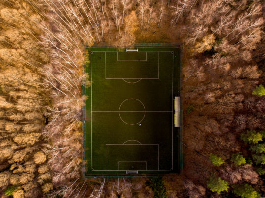 להמחשה - מגרש כדורגל בתוך יער ברוסיה. צילם: philipp trubchenko