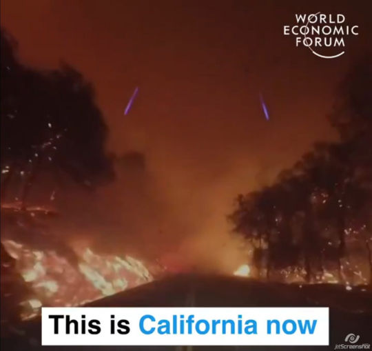 שריפות יער בקליפורניה, כביש ביער, אוגוסט 2020
