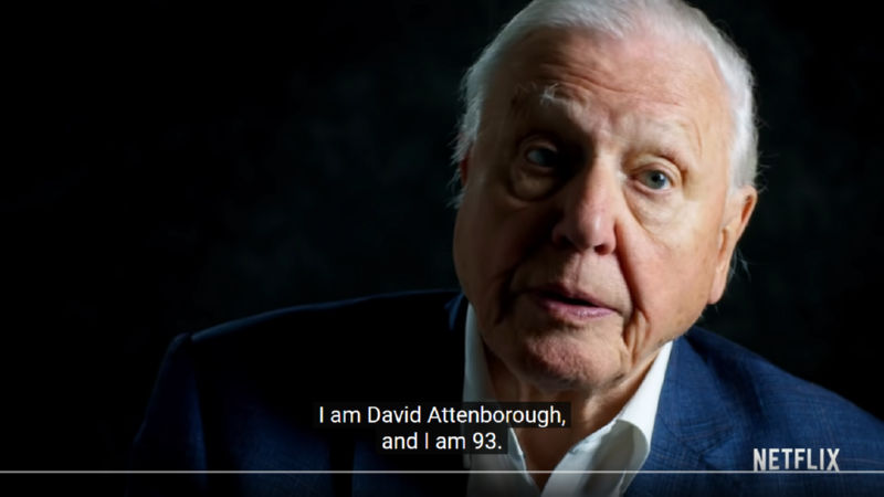 אני דייוויד אטנבורו, ואני בן 93. צילום מסך מהקדימון לסרט 'A Life On Our Planet', 'על פני האדמה'.