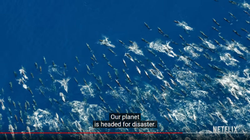 העולם שלנו עומד לפני אסון. צילום מסך מתוך הסרט 'A Life On Our Planet', 'על פני האדמה'.