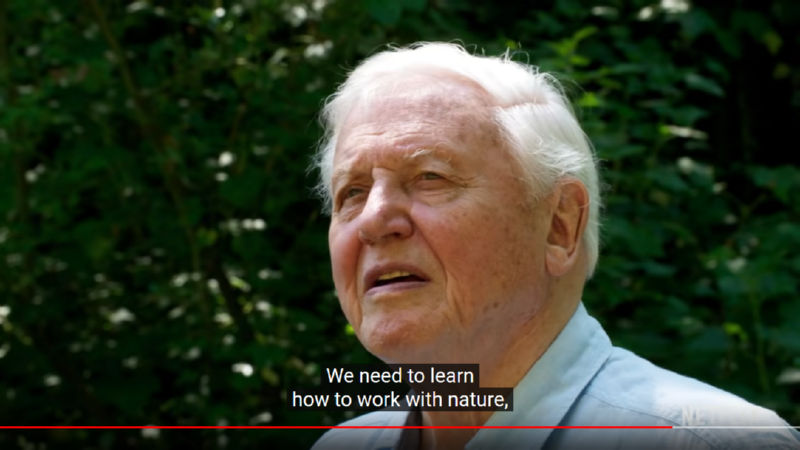 אנחנו צריכים ללמוד לעבוד עם הטבע. צילום מסך מתוך הסרט 'A Life On Our Planet', 'על פני האדמה'.
