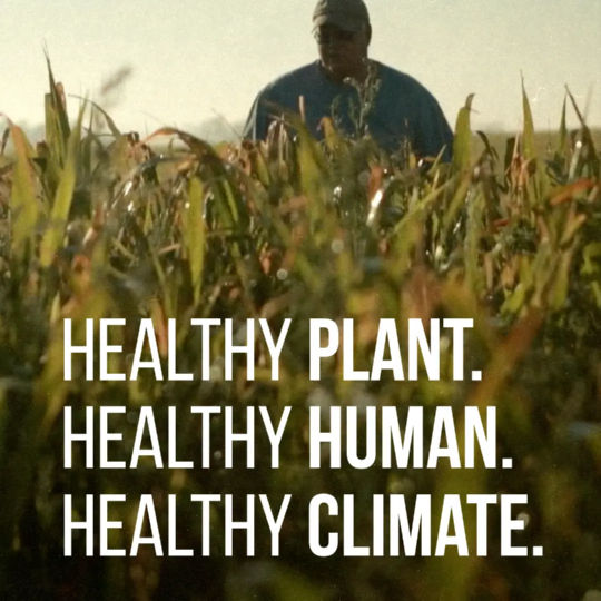צמח בריא, אנושות בריאה, אקלים בריא. מתוך הסרט 'לנשק את האדמה' - 'Kiss The Ground'