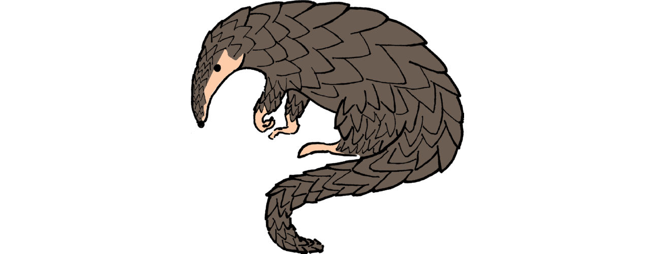 איור של פנגולין, OpenClipArt