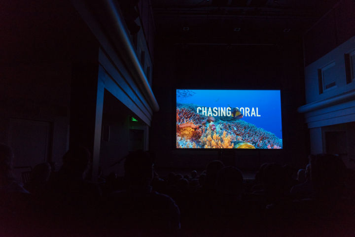 הקרנה של הסרט Chsing Coral. צילמה: קייטלין קליבור