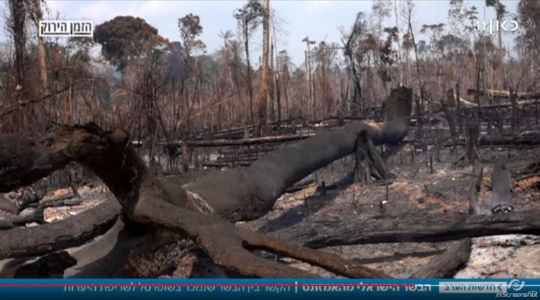 יער שנשרף באמזונס | צילום מסך: כתבתה של יפעת גליק, הזמן הירוק, כאן 11