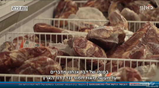 בסופו של דבר אנחנו מדברים על מעשה מאוד חמור נגד כדור הארץ | צילום מסך: כתבתה של יפעת גליק, הזמן הירוק, כאן 11