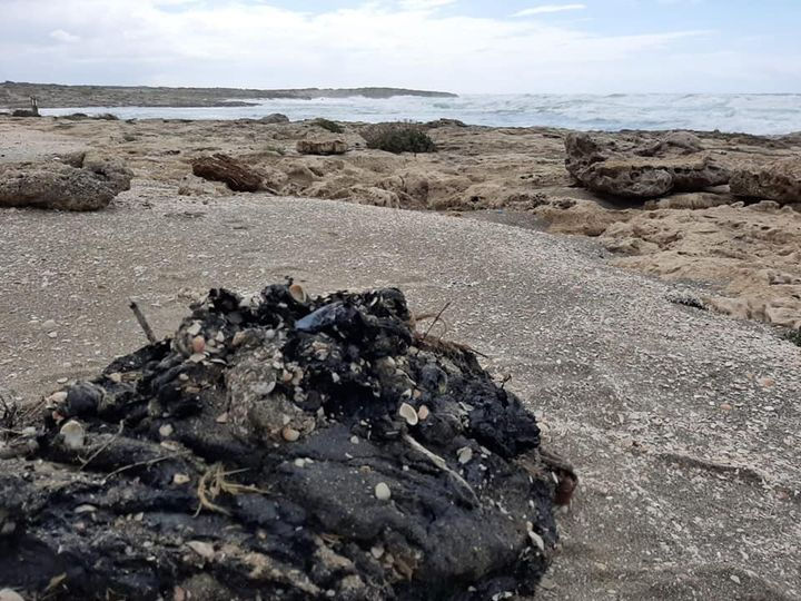גוש זפת בחוף בעקבות הזיהום הימי פברואר 2021 | אקואושן