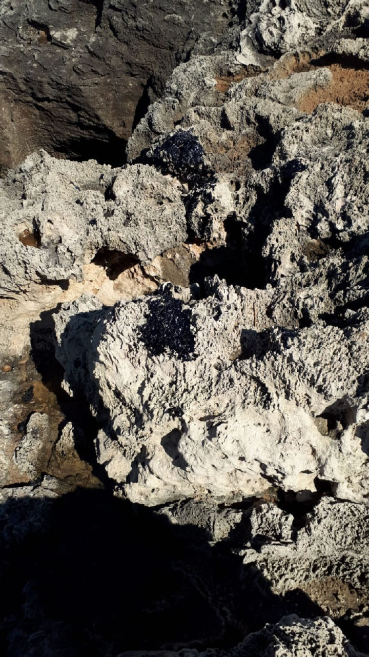 סלעים מרוחים בזפת כתוצאה מהזיהום הימי פברואר 2021