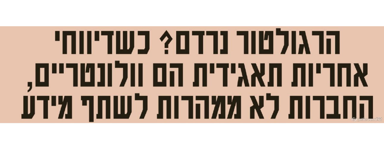 הרגולטור נרדם? כשדיווחי אחריות תאגידית הם וולונטריים, החברות לא ממהרות לשתף מידע | שני אשכנזי | גלובס | כותרת