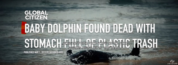 כשמוצאים דולפין או לווייתן מתים שנפלטו לחוף, כותרות העיתונים מתייחסות לפסולת הפלסטיק הביתית שנמצאת בבטנם של הפגרים