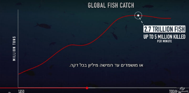 בכל שנה נתפסים 2.7 טריליון דגים - עד 5 מיליון דגים בדקה.