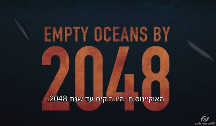 בקצב הדיג הנוכחי - האוקיינוסים יהיו ריקים עד שנת 2048.