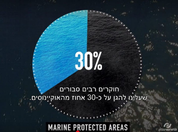 חוקרים רבים סבורים שעלינו להגן על כ-30 אחוז מהאוקיינוסים.