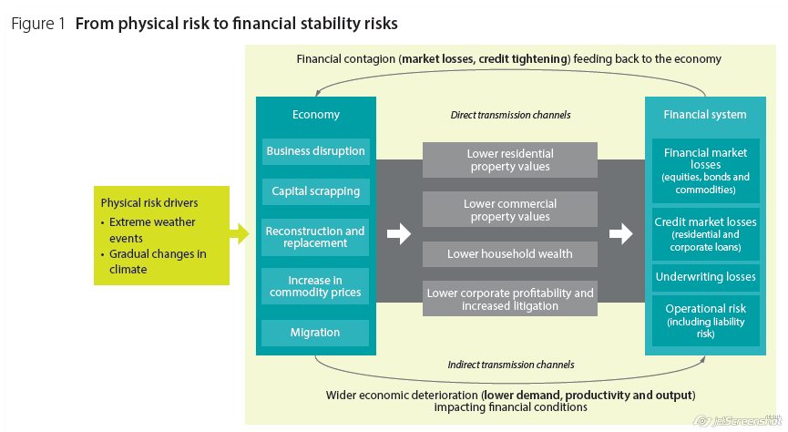 From physical risk to financial stability risks | NGFS