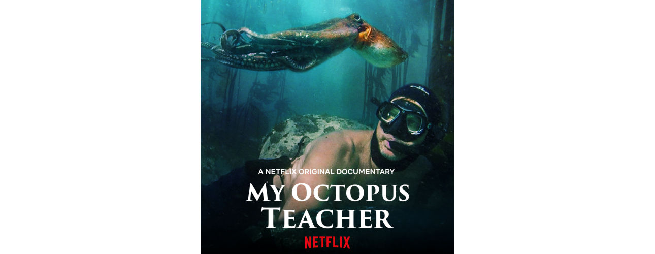 מורתי התמנונית | My Octopus Teacher | Netflix