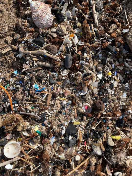 חלקי פלסטיק בחוף בת גלים בחיפה | צילמה ליאת צבי