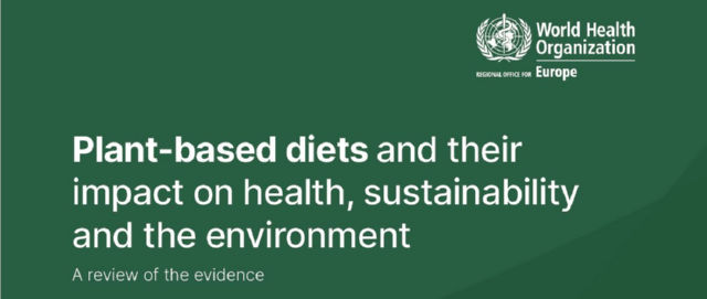 Plant-based diets and their impact on health, sustainability and the environment - A review of the evidence