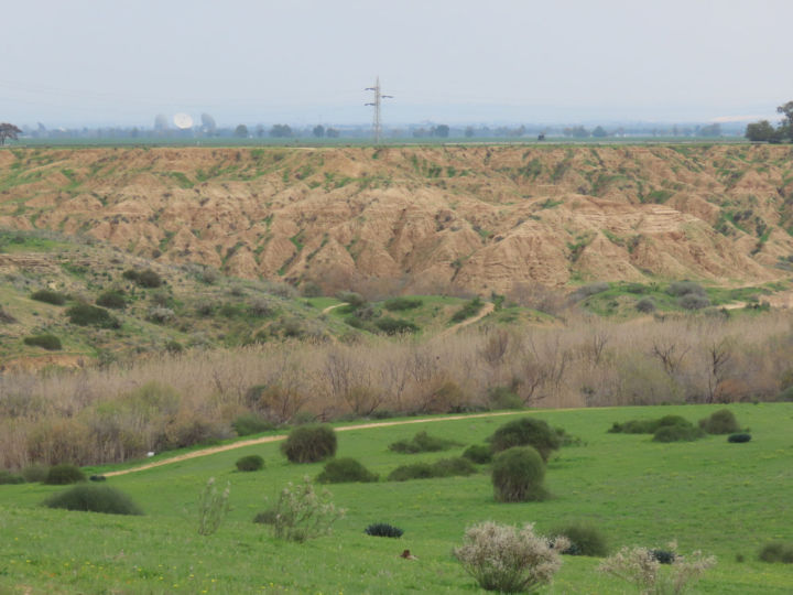 בתרונות לס בגן לאומי הבשור בעוטף עזה | צילום עמית מנדלסון