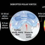 Infographics: Polar Vortex (Stable and Disrupted) + Atmospheric Infrared
