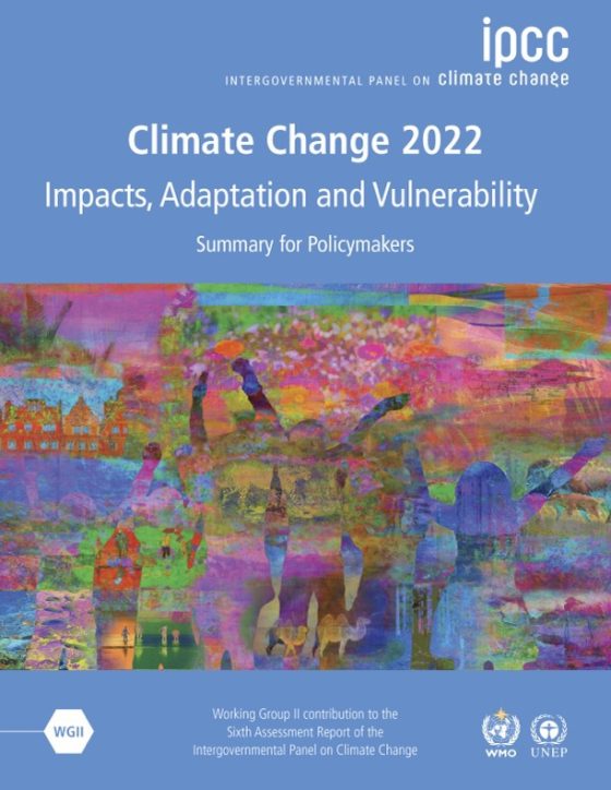 IPCC Sixth Assessment Report: Climate Change 2022